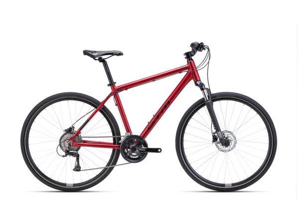 Jalgratas TRANZ 3.0