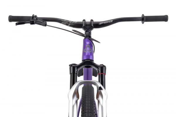 Jalgratas DIRTKING Pro - Image 9