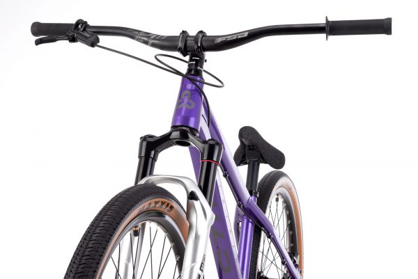 Jalgratas DIRTKING Pro - Image 8