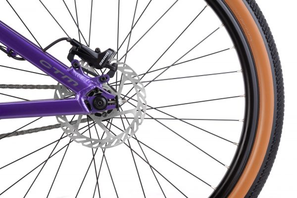 Jalgratas DIRTKING Pro - Image 7
