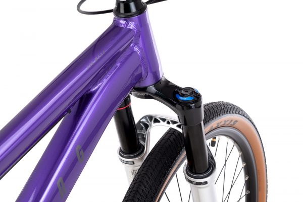 Jalgratas DIRTKING Pro - Image 5