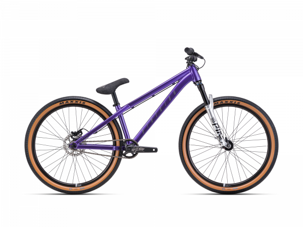 Jalgratas DIRTKING Pro